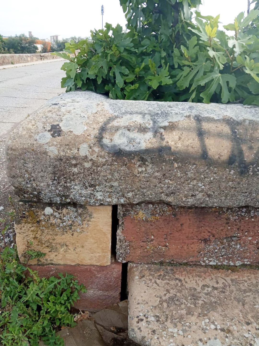 Reclaman una intervención ante el estado de deterioro del puente romano.