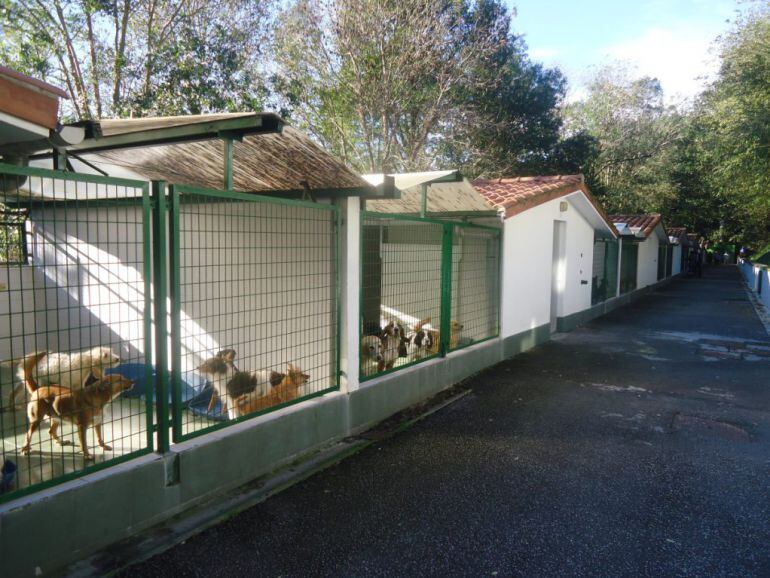 Instalaciones de la protectora de animales.