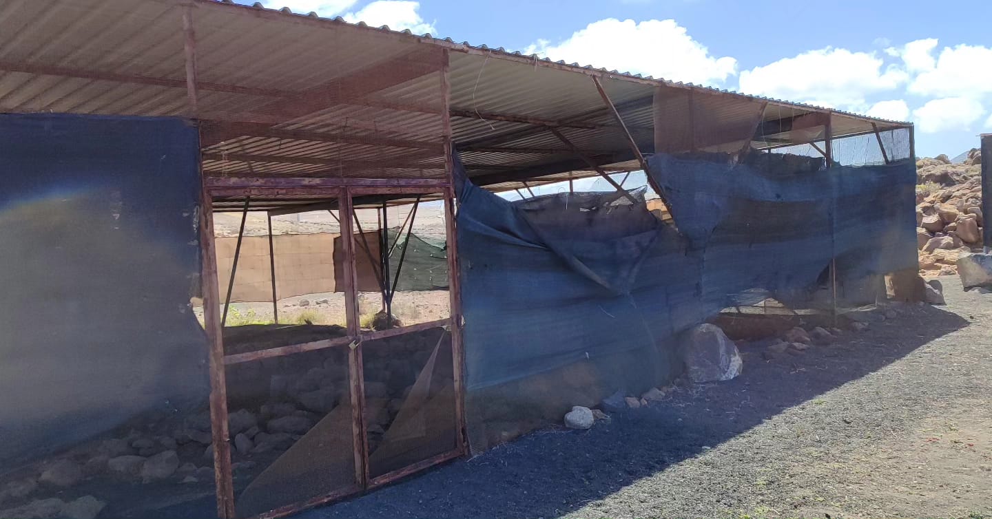 Yacimiento arqueológico de Zonzamas, en Lanzarote.