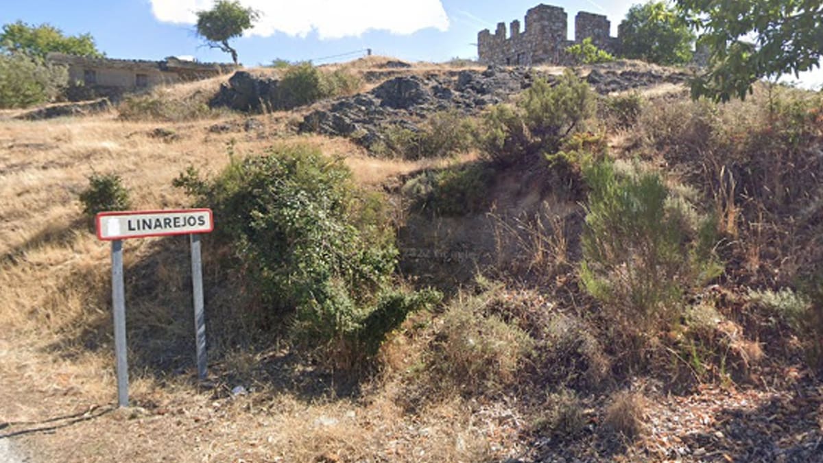 Carlos, el ciervo que se ha ganado el cariño de Linarejos