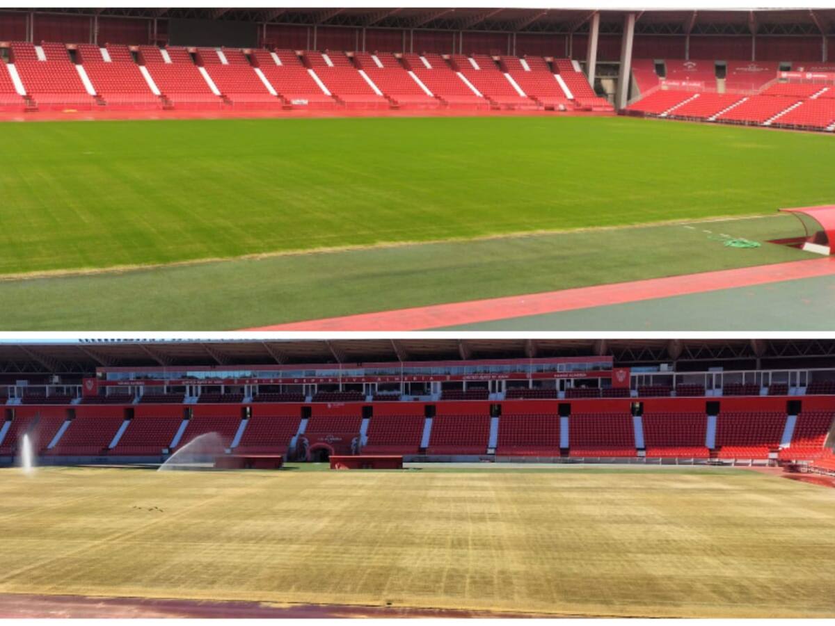 La hierba de invierno crece en el Estadio de los Juegos Mediterráneos