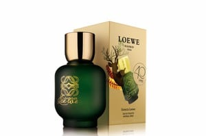 Esencia de Loewe