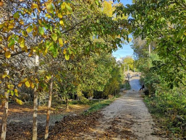 El recorrido discurre entre Molinos de Papel y Palomera.