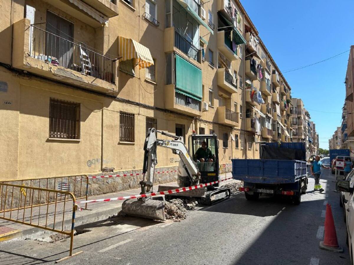 El Ayuntamiento de Elche comienza la plantación de 60 árboles en la calle Ginés García Esquitino
