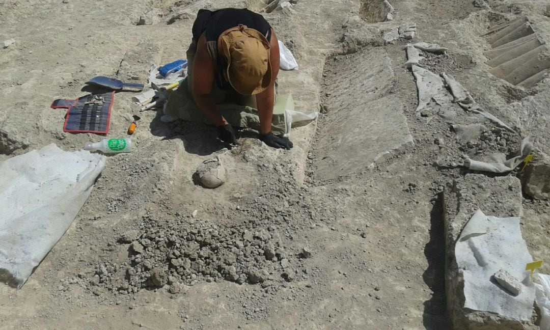 Excavación en la necrópolis medieval bastetana