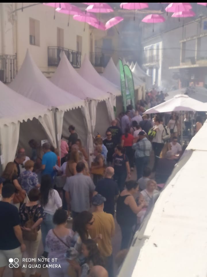 Feria Gastronómica de Dos Aguas