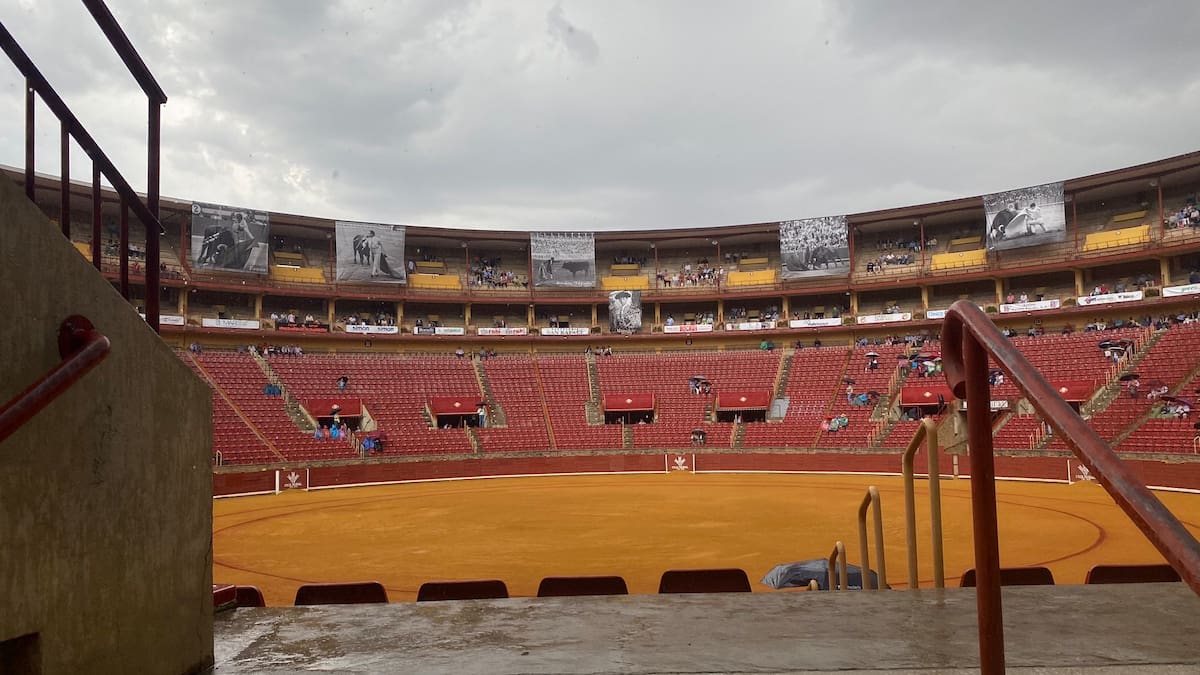 Aplazada por lluvia a la matinal del domingo la corrida de Morante , Juan Ortega y Roca Rey