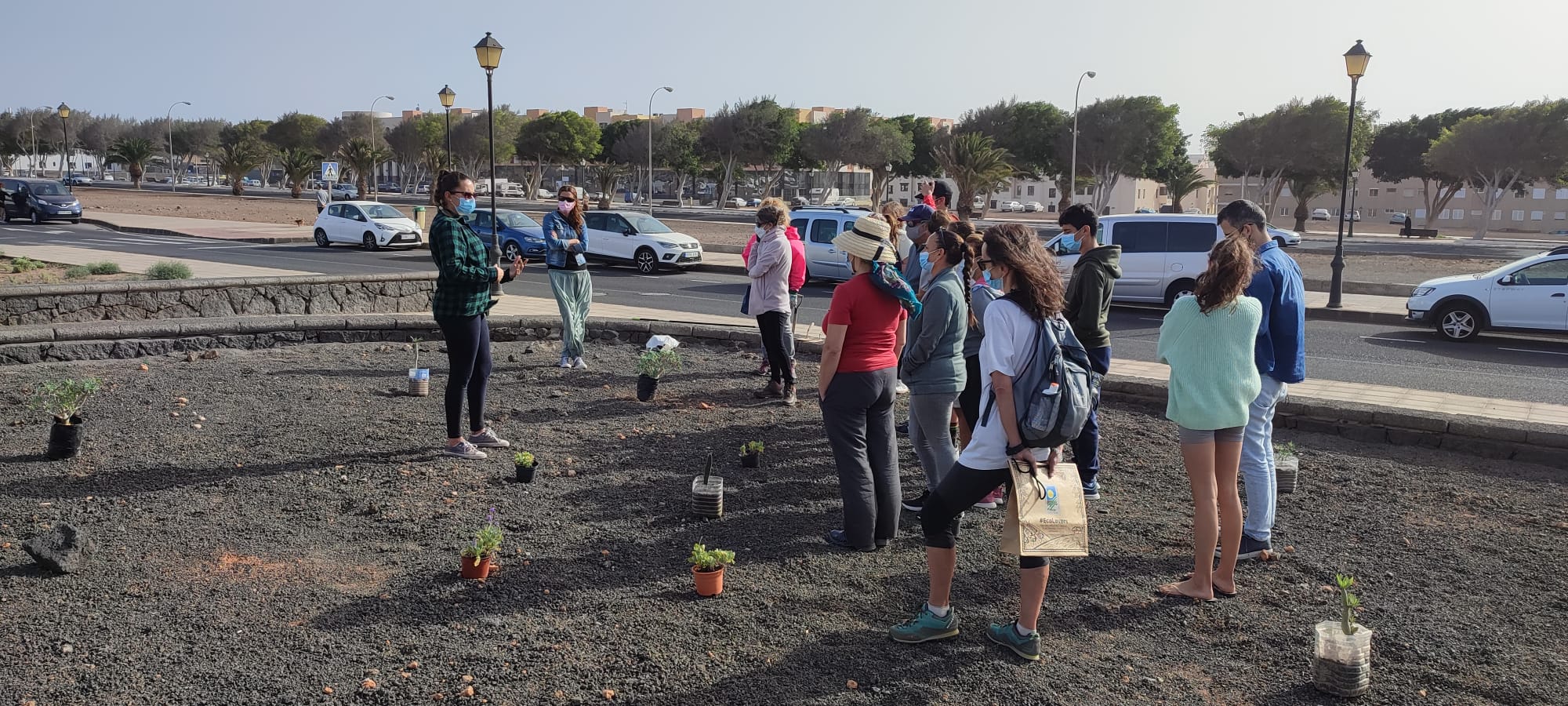 Vecinos de San Francisco Javier, en Arrecife, durante la plantación.