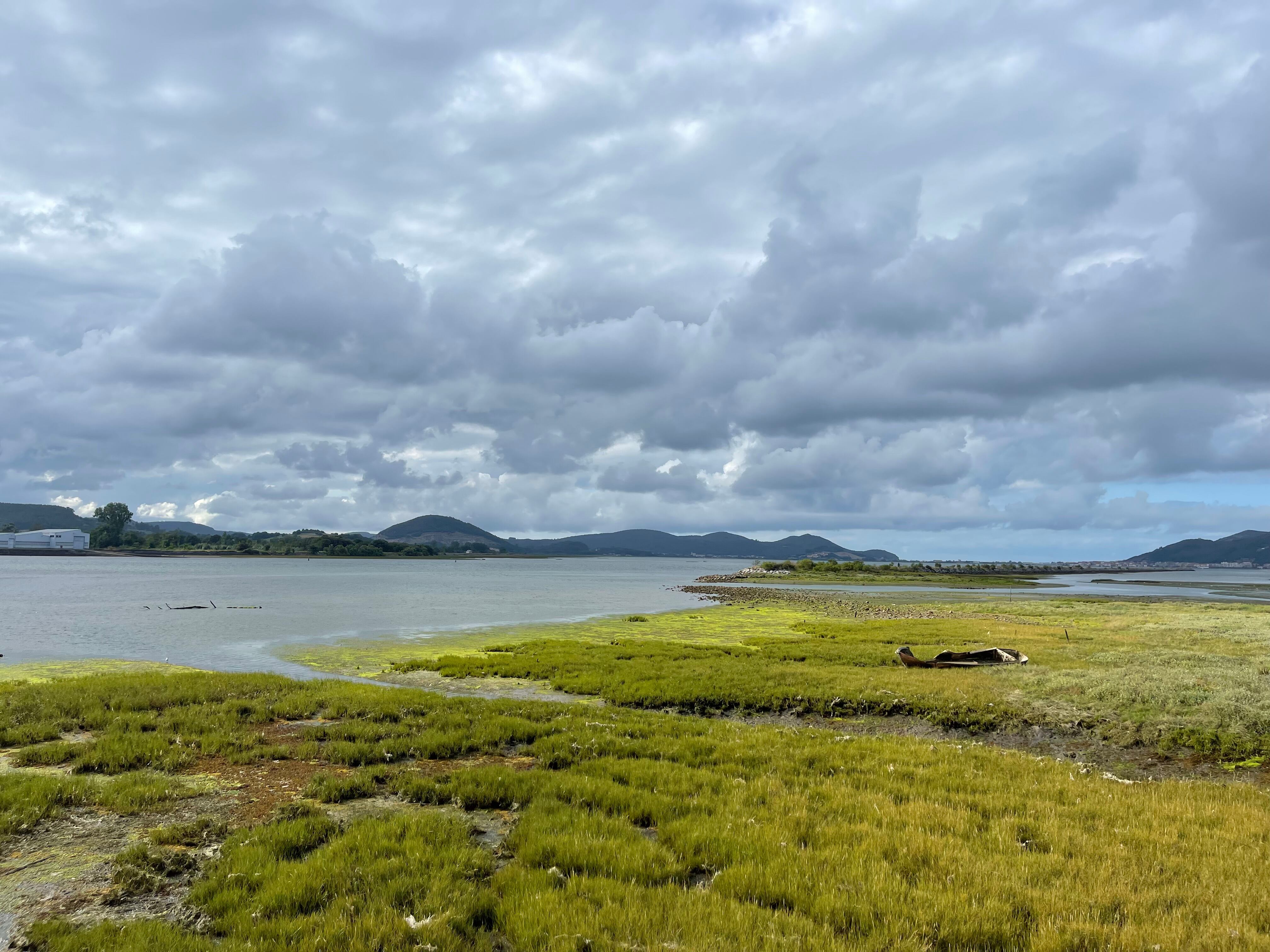 Marismas de Santoña