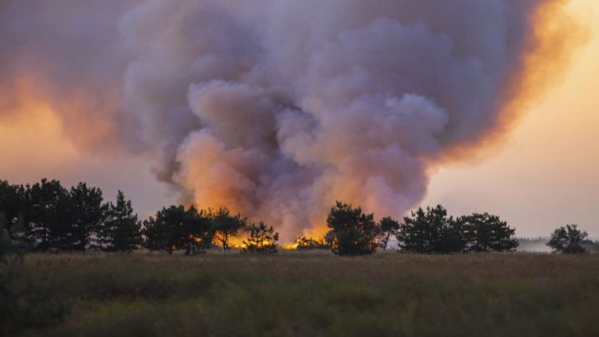 La Junta mantiene los mismos medios personales y técnicos que el año pasado para la campaña de incendios en Palencia