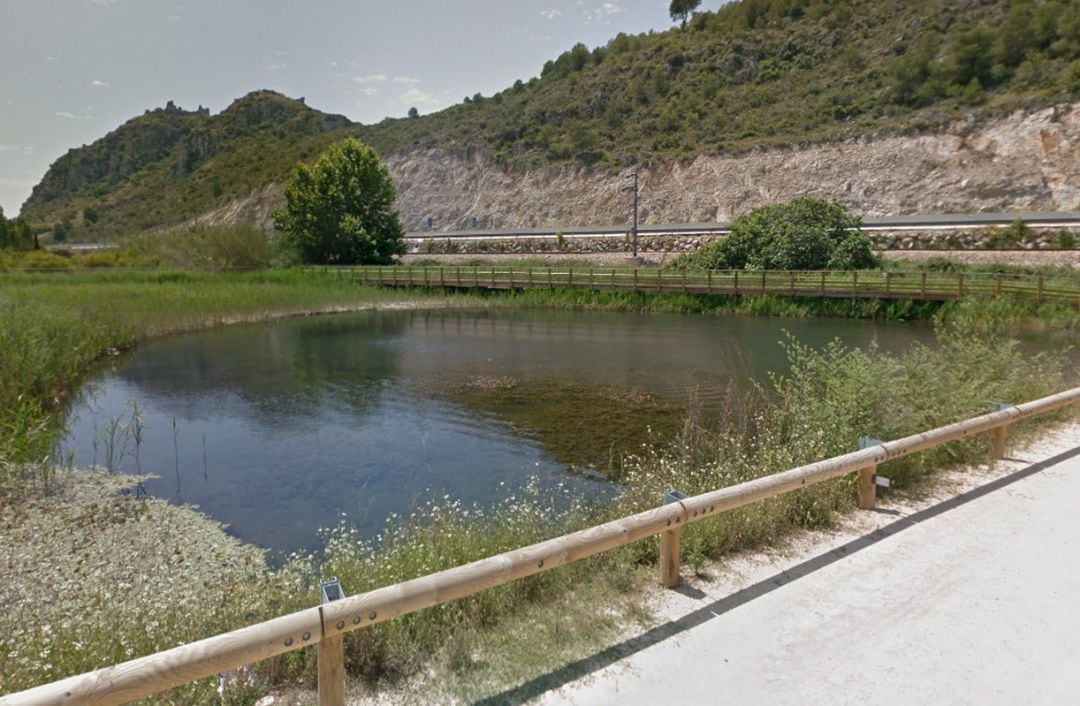 Ullal Fosc del marjal de Gandia junto a las vías del tren 