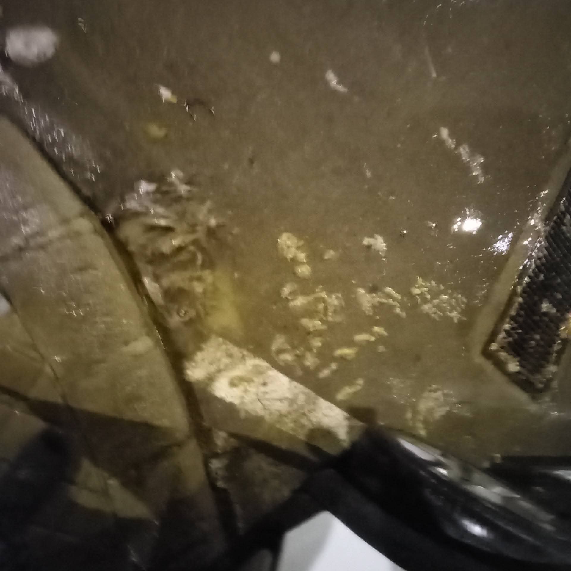 Salida de aguas fecales en Xàtiva (Foto:PP)