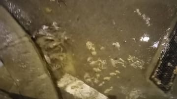 En un primer momento se pensó en una obstrucción por "toallitas"