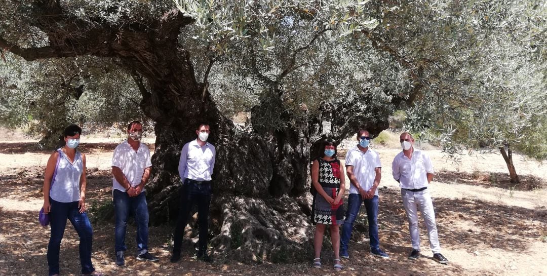 Imagen de los representantes de las diputaciones