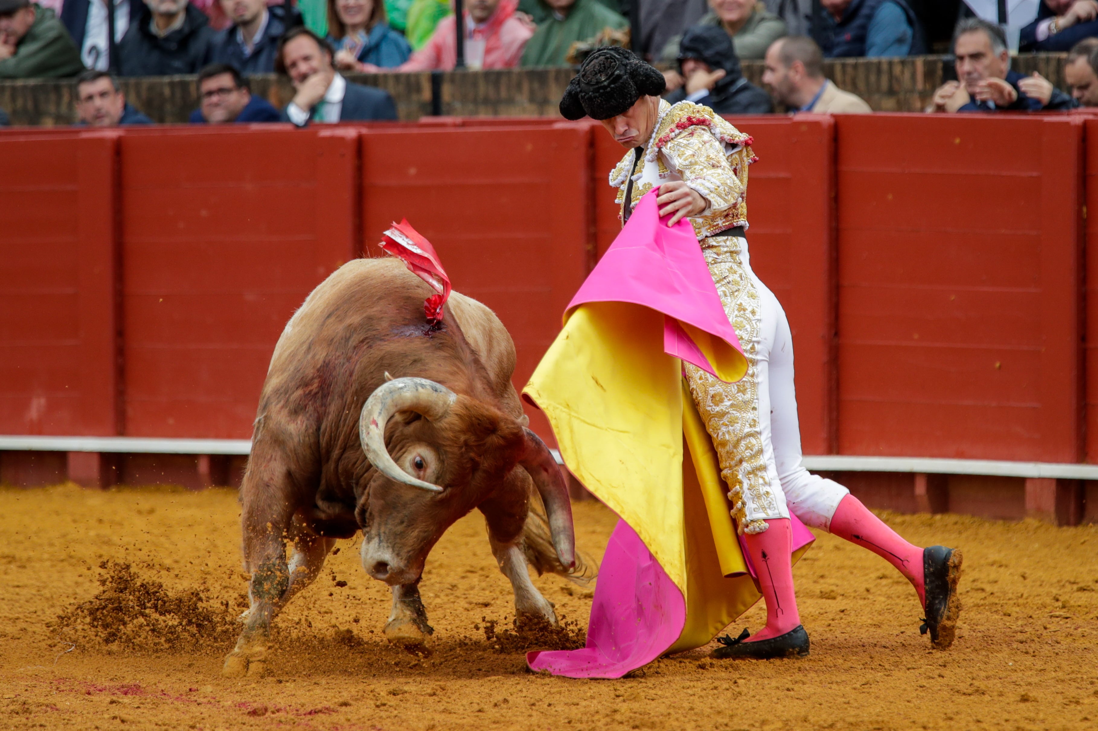 SEVILLA, 03/05/2022.- El torero Daniel Luque durante la faena al cuarto toro de la tarde en la novena corrida de abono de la Feria de Abril de Sevilla, este martes en la plaza de la Real Maestranza. EFE/ Julio Muñoz
