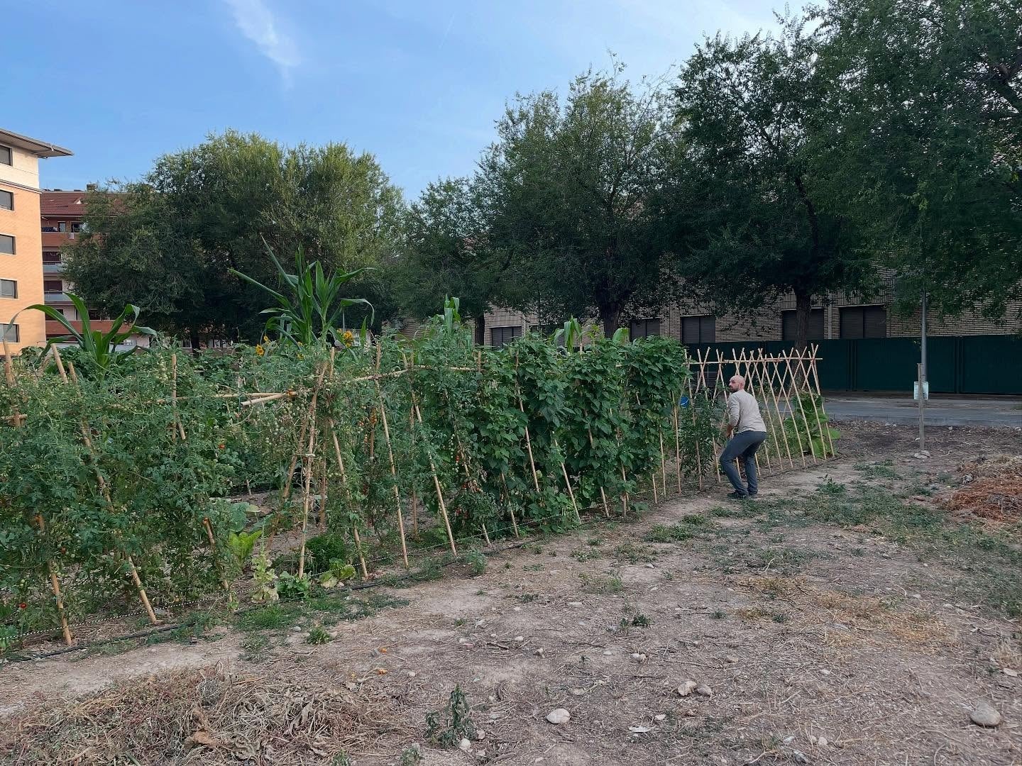 El curso de Horticultura Ecológica de Monzón alcanza su sexta edición