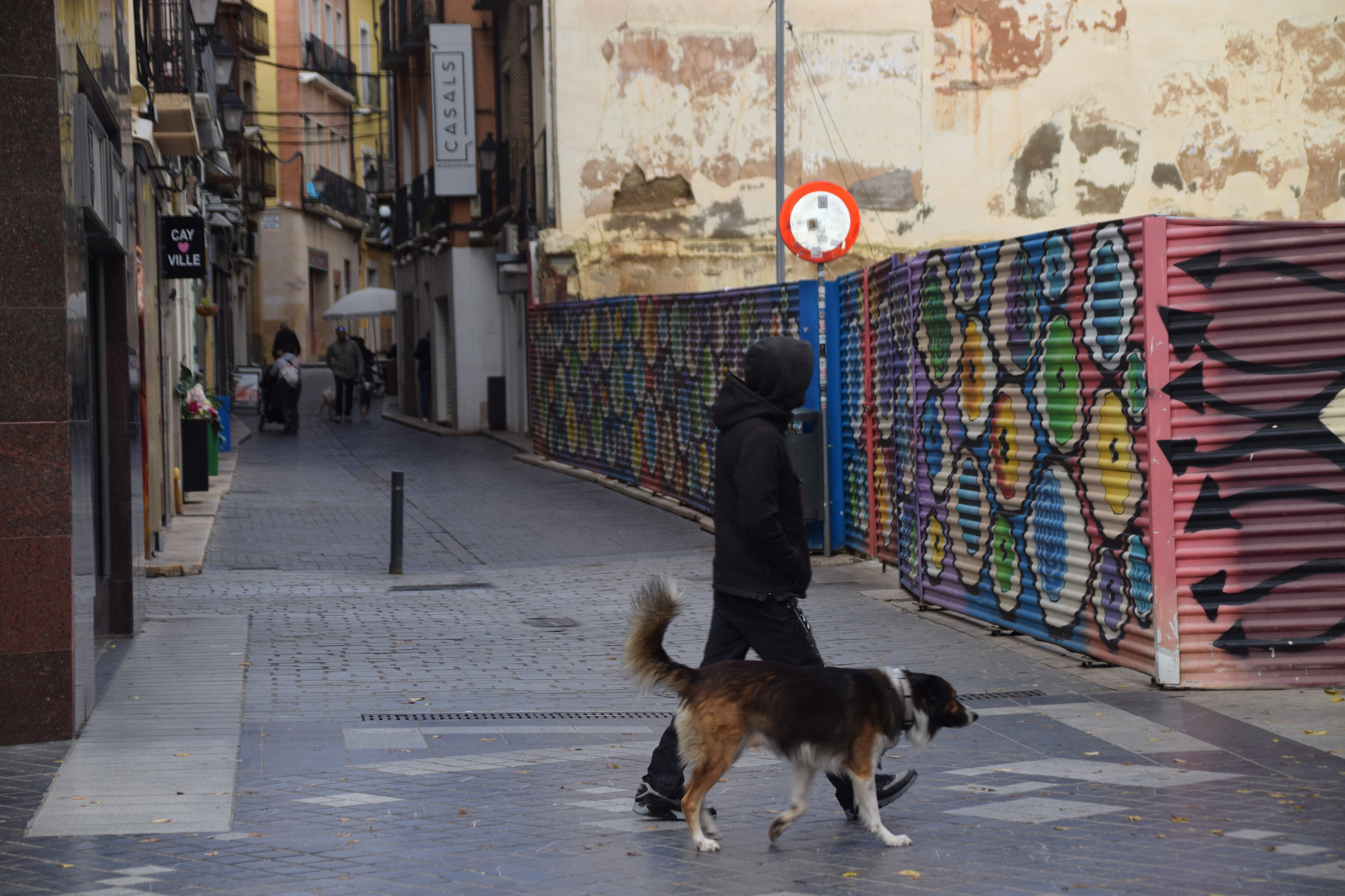 Un perro pasea con su dueño por el Coso en Huesca