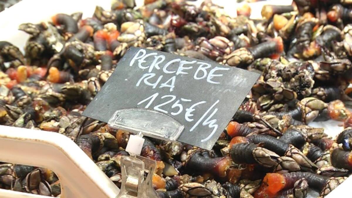 El marisco por las nubes