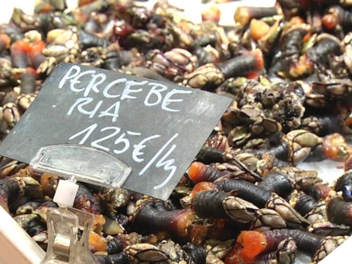 El marisco por las nubes