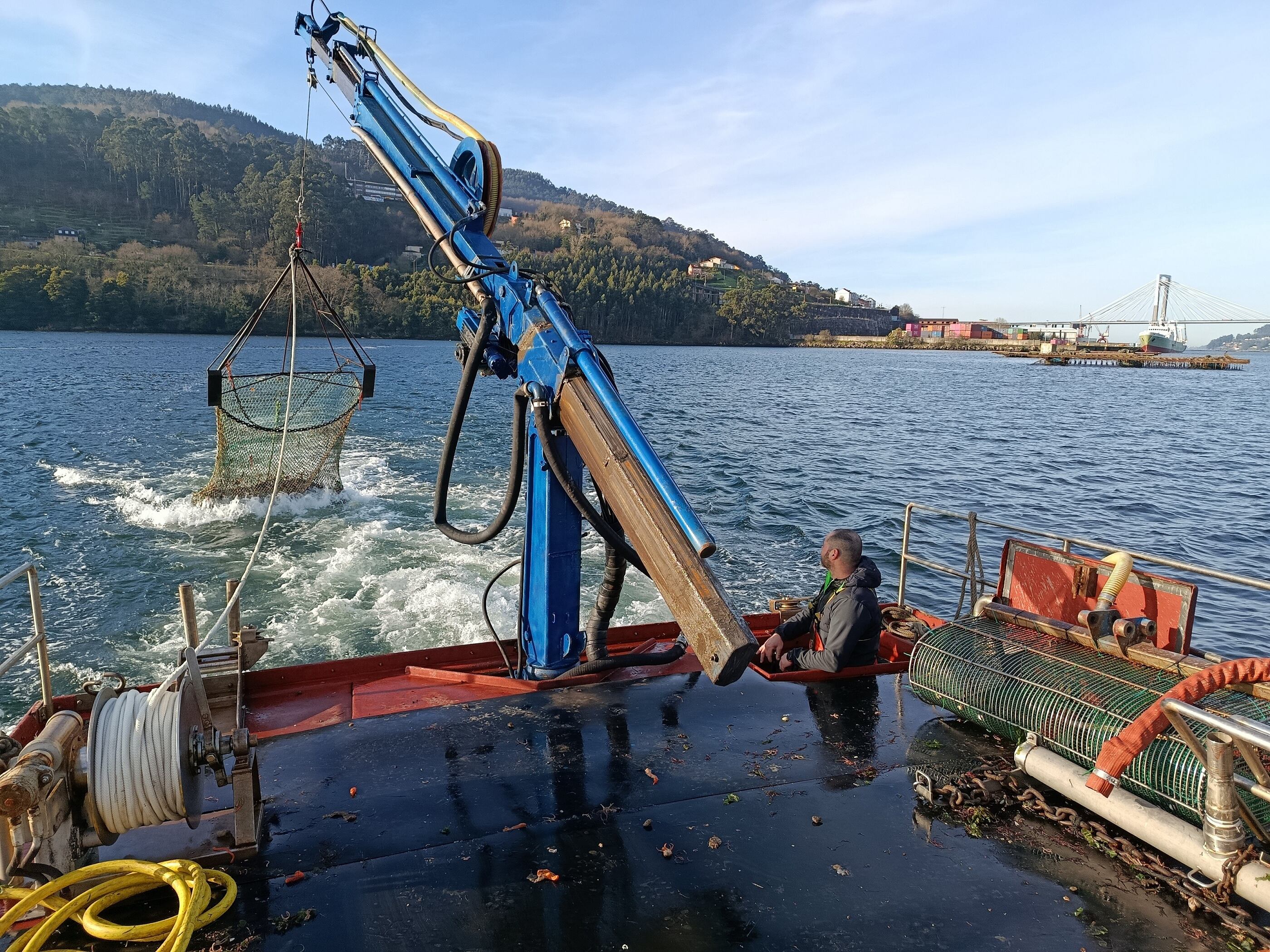 Recogida de volandeira en el mar