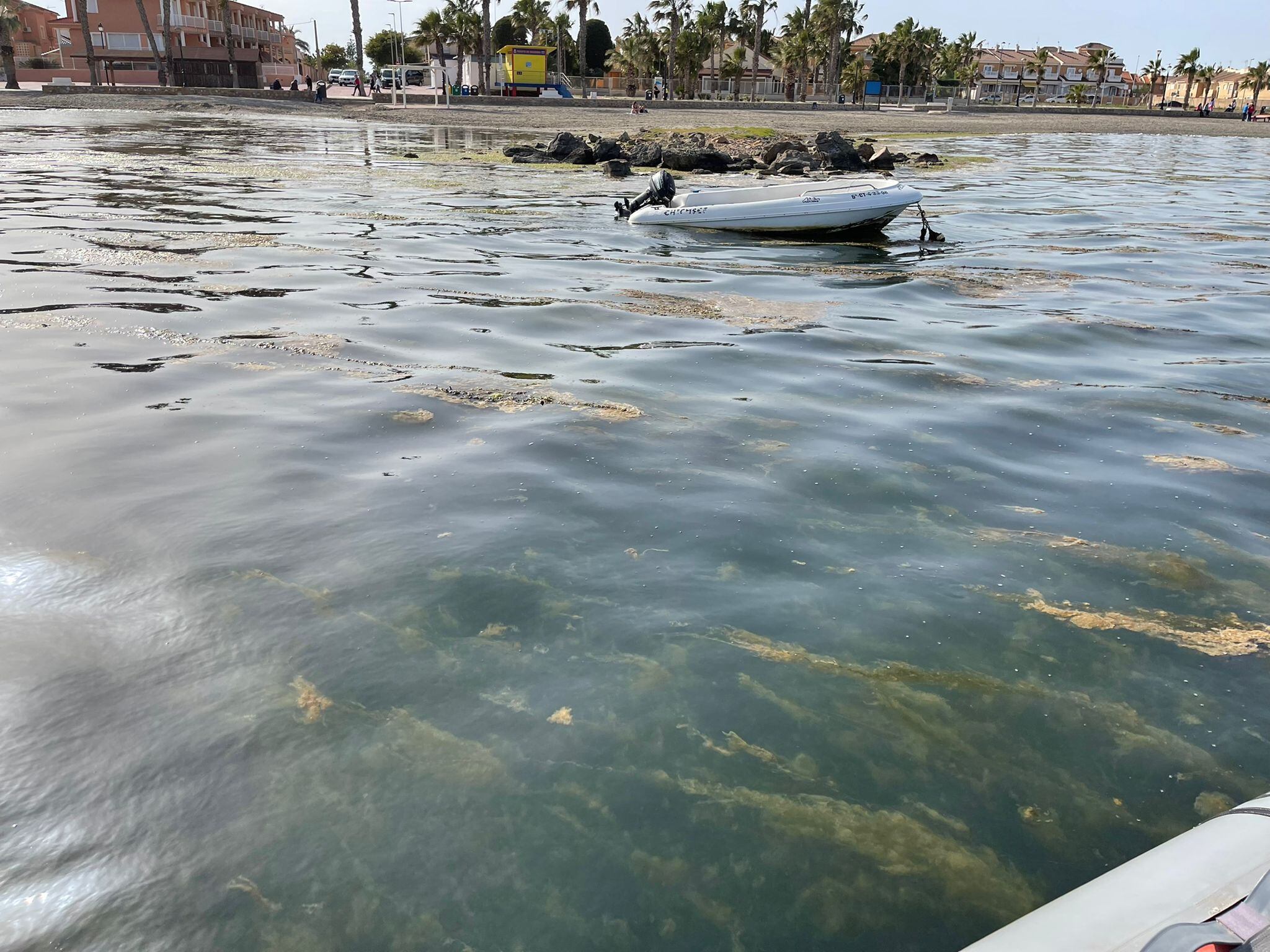 El Ayuntamiento de Los Alcázares advierte del estado crítico del Mar Menor tras las últimas lluvias