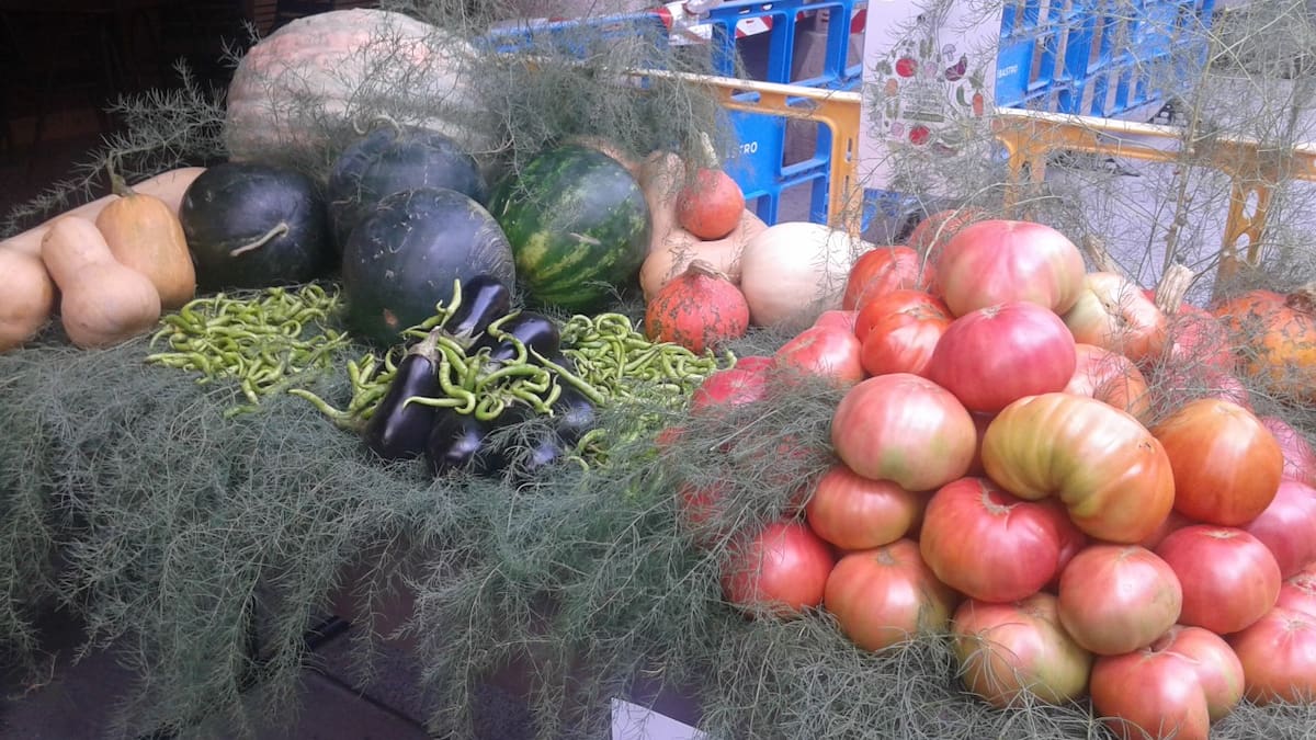 FermaGourmet, nueva cita de la 60 edición de la Feria Regional de Barbastro