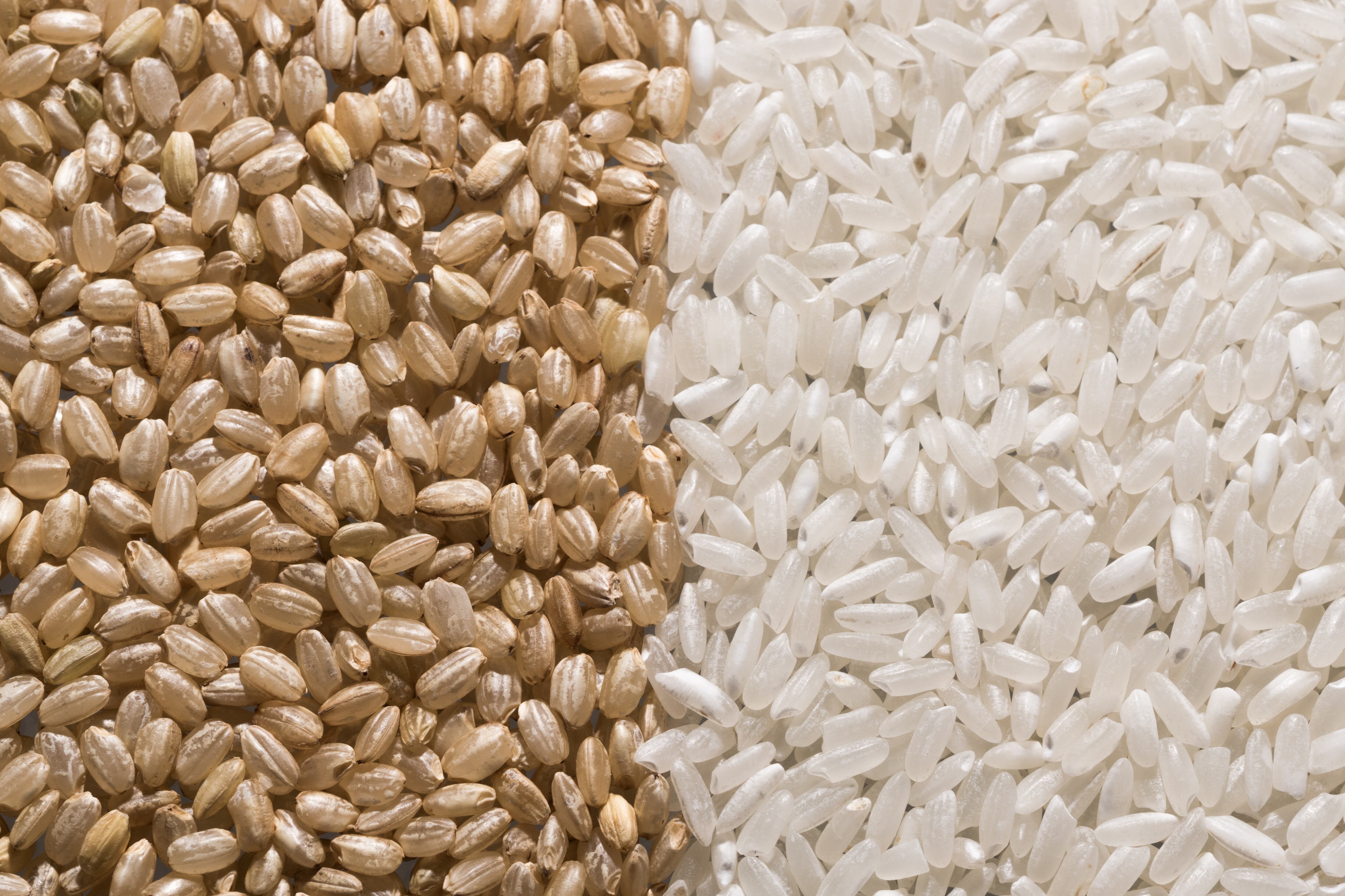 Brown Rice vs. White Rice Directly Above View, Macro Shot.