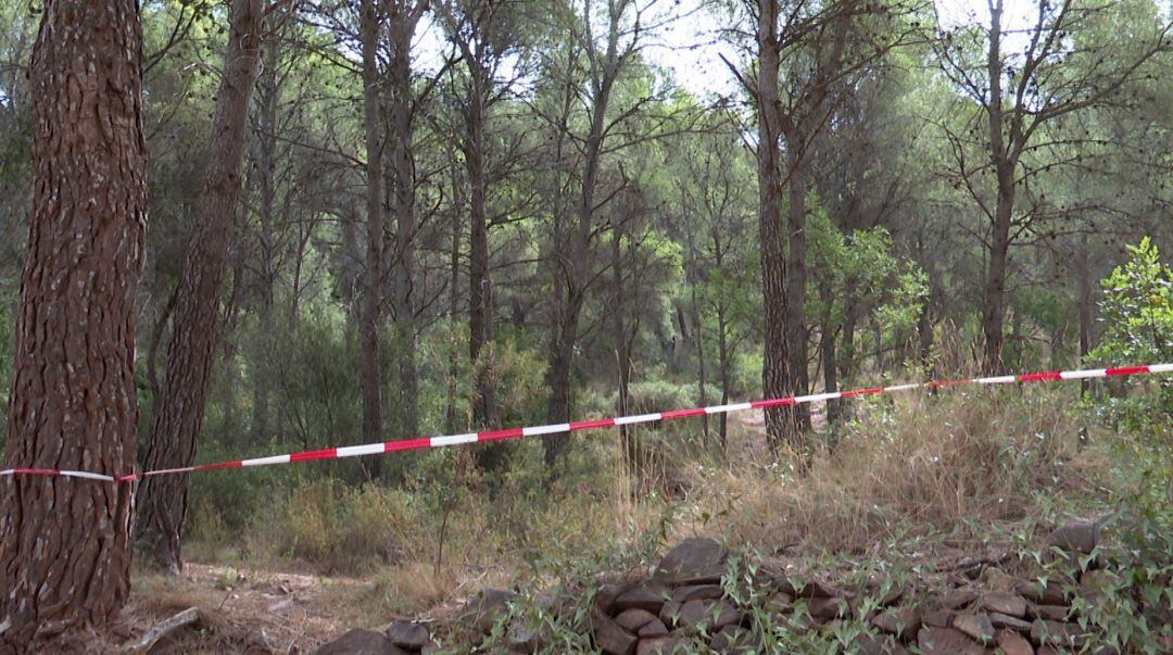 Mireia Mollà pide &quot;la máxima prudencia y la colaboración de la ciudadanía para prevenir la posibilidad de incendios forestales&quot;.