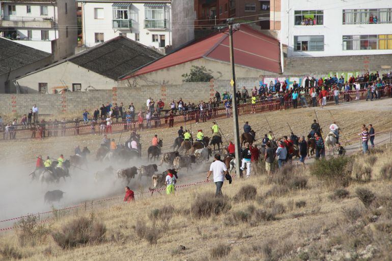 Encierro de Cuéllar en la zona de El Embudo