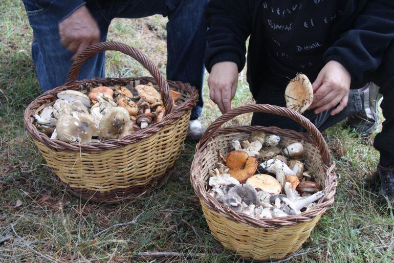 Els Bombers presenten una campanya de seguretat per evitar que es perdin els boletaires