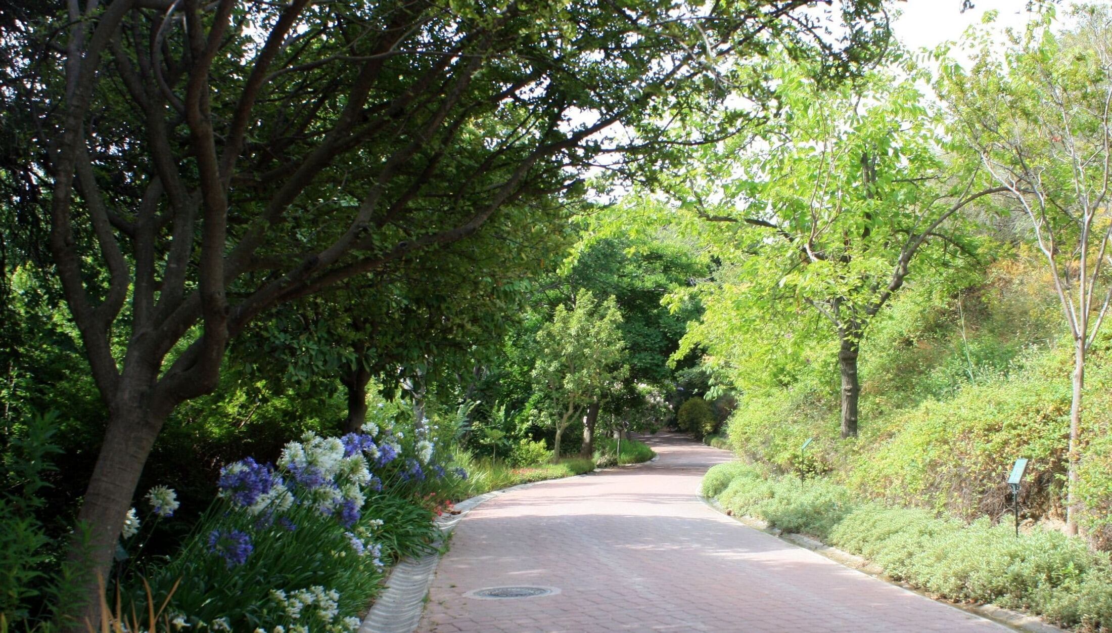 Jardín botánico de la Concepción (Ayuntamiento de Málaga)