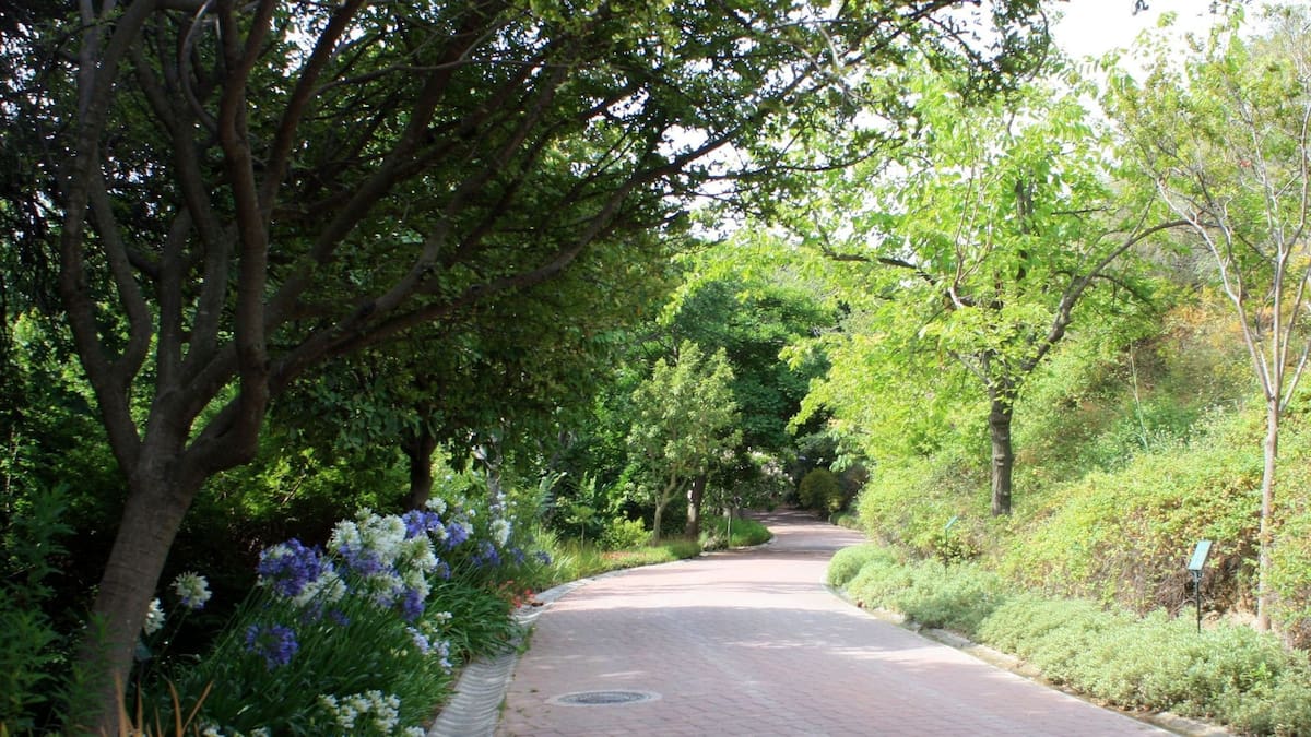 La ciudad de Málaga cierra una veintena de parques ante la alerta por viento