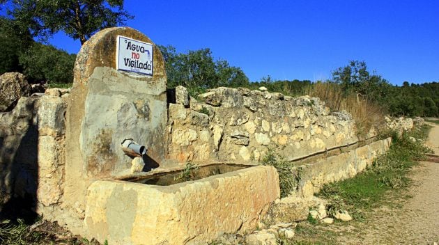 La fuente de la Mota da nombre al yacimiento.