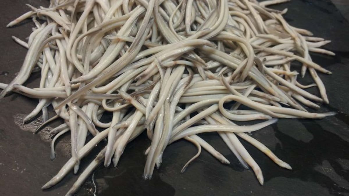 Reportaje | Cuando la angula nos pone frente al espejo