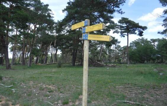 Imagen del tipo de señalización que marcan las bases del concurso