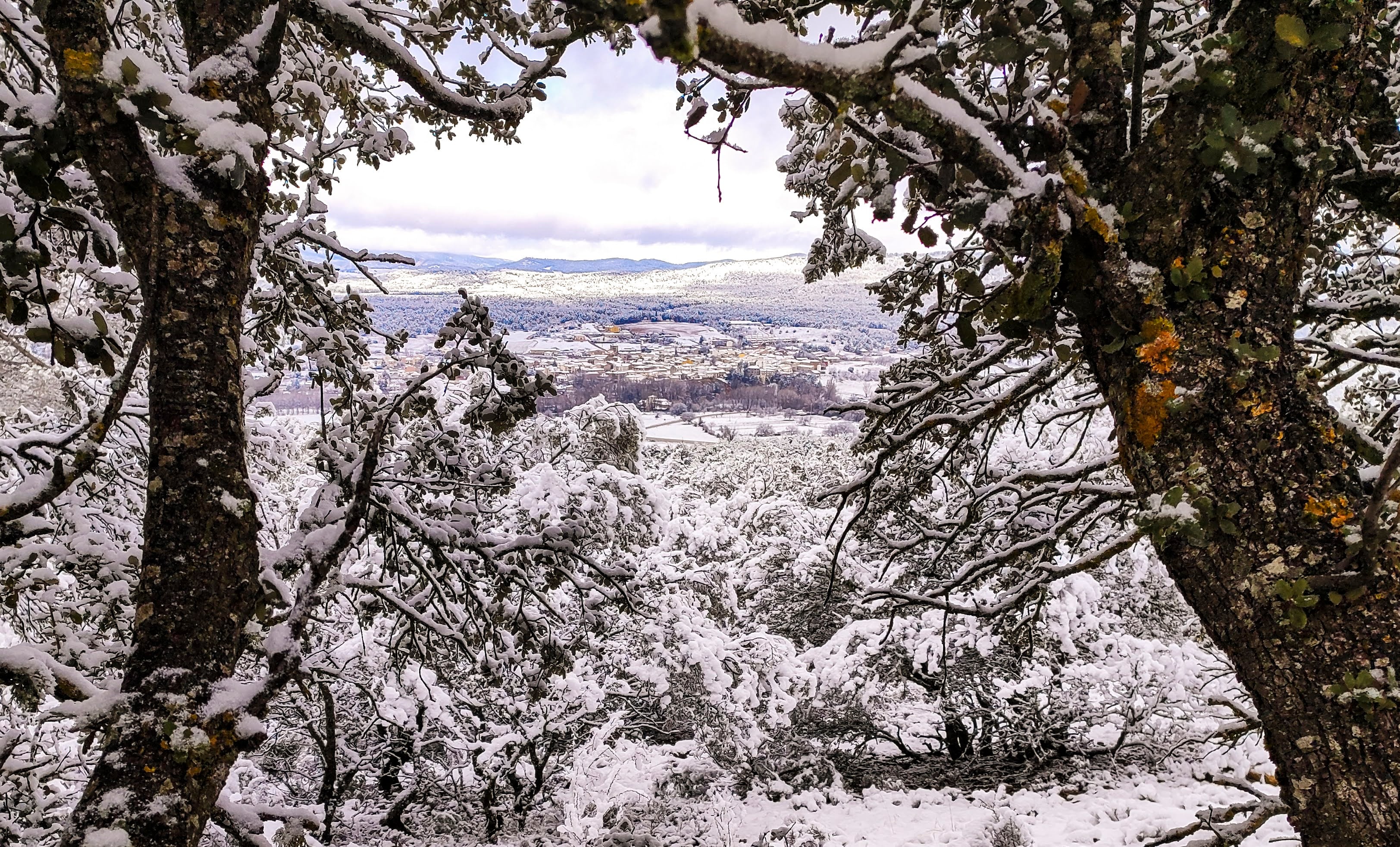 Paisaje nevado en un punto de la ruta.