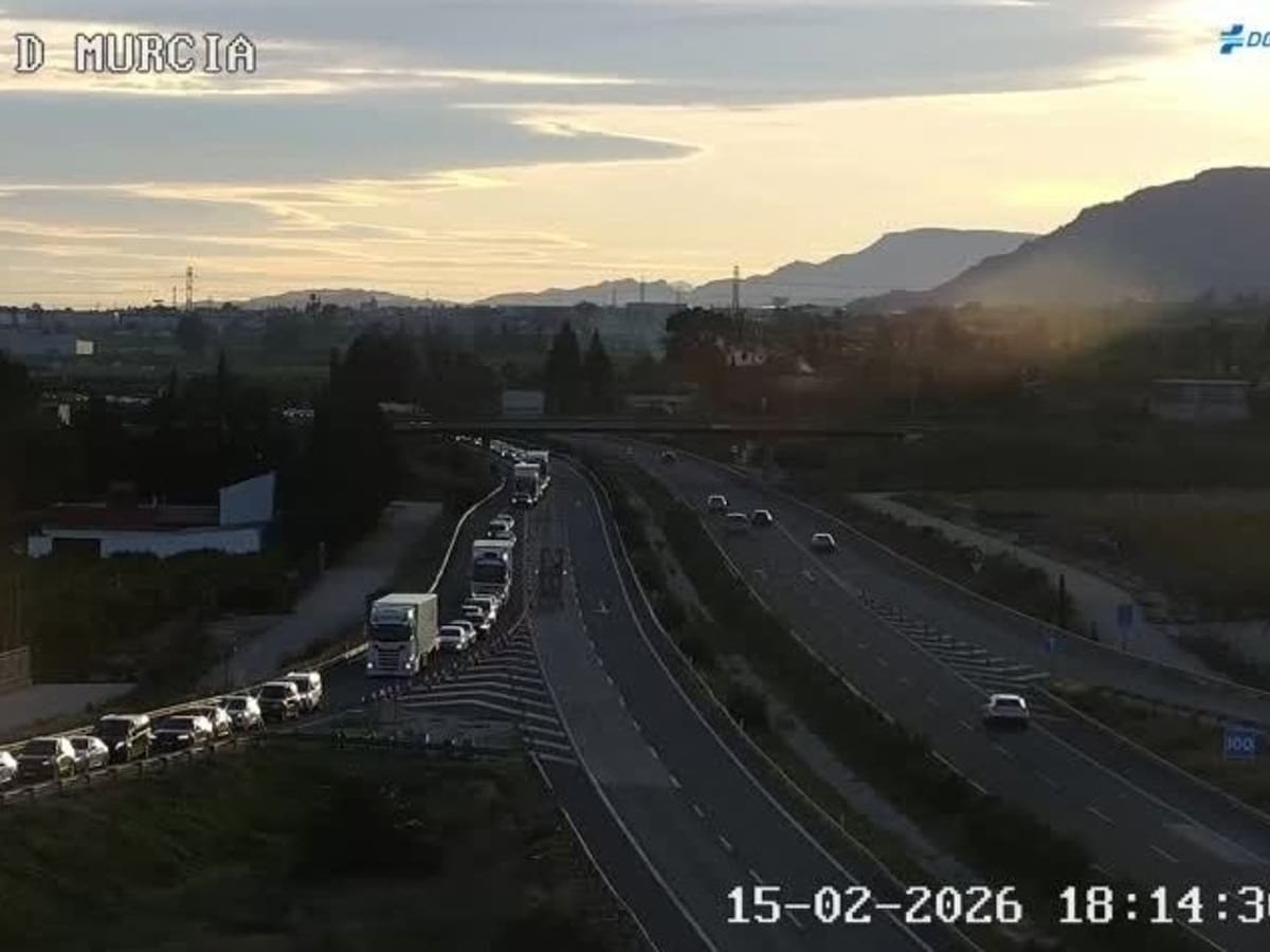 Retenciones kilométricas en la A-7, a la altura de la Ermita de Belén, por el desvío obligatorio hacia la N-340