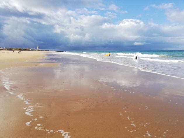 Playa de El Palmar, en Cádiz