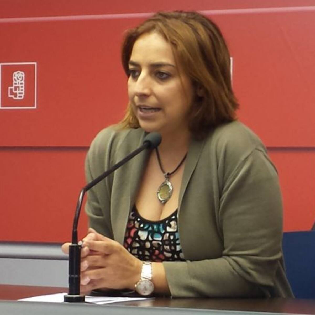 El 86% del Comité Provincial del PSOE de Palencia apoya a la gestora que lidera Javier Fernández