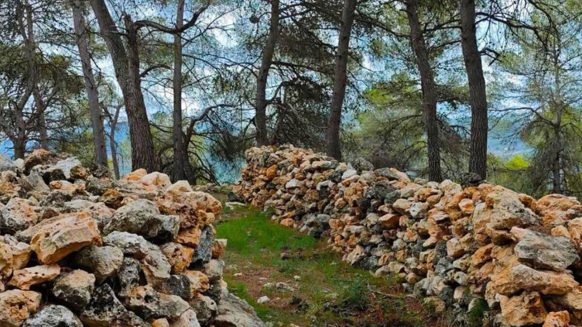 El Ràfol de Salem da nuevos pasos en la recuperación del yacimiento fenicio del Corralet