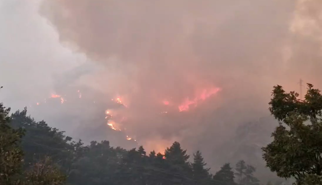 Incendio de Porto