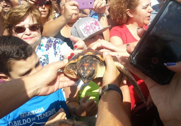 Bañistas acariciando y fotografiando la tortuga