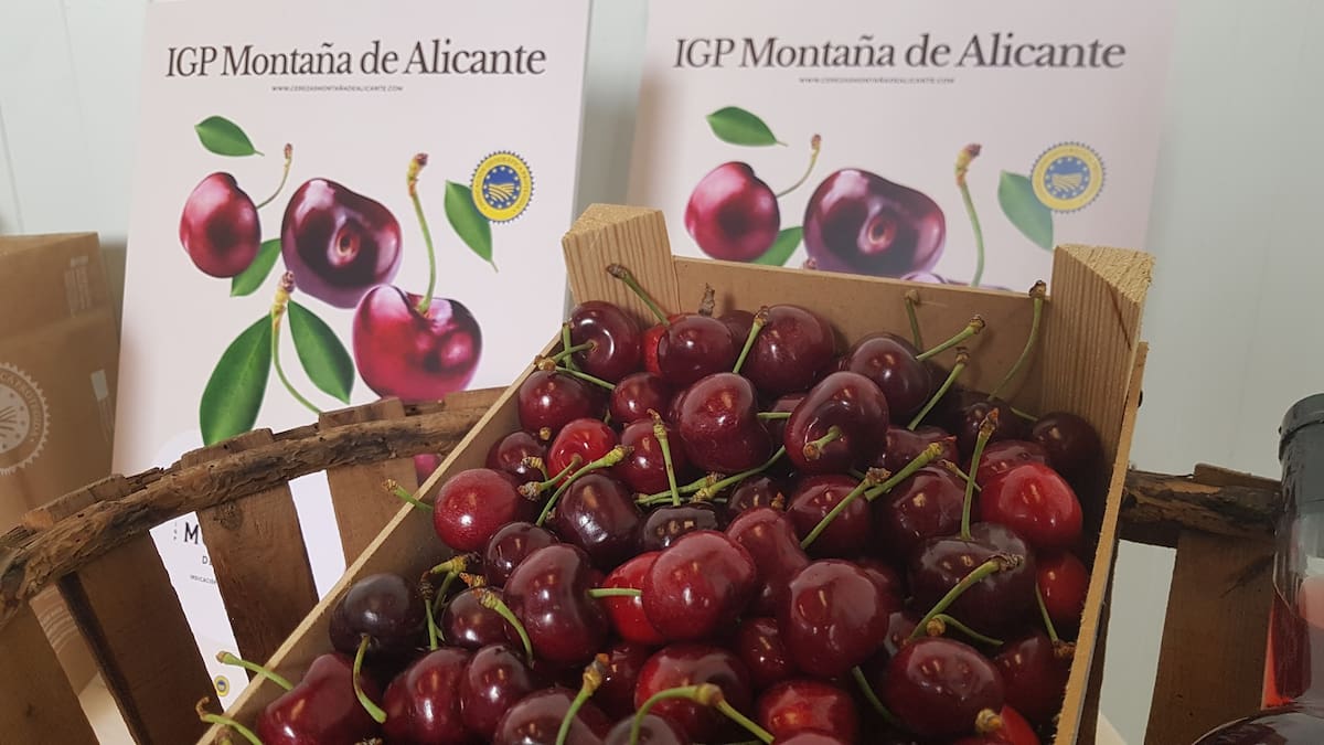 Comença la campanya de la cirera_Entrevista a Hilario Calabuig, president de del Consell Regulador de la Indicació Geogràfica Protegida Cireres de la Muntanya d'Alacant (02/06/2022)