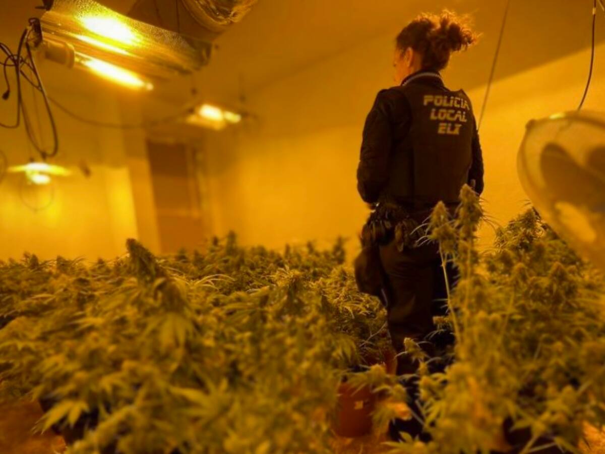 Detenidas dos personas por un presunto delito contra la salud pública