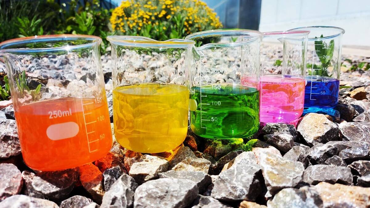 Neoalgae cumple 10 años innovando desde Gijón