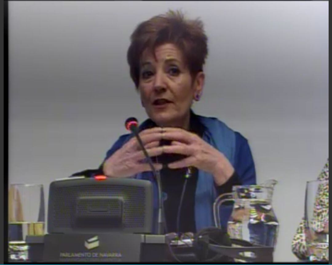 Carmen Pueyo, portavoz de Comisiones Obreras, durante su comparecencia en la Comisión de Salud del Parlamento de Navarra