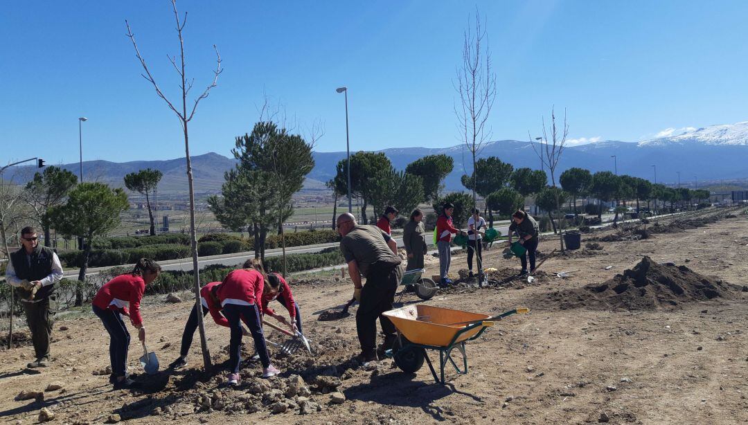 El buen tiempo ayudó en la tarea de los más pequeños en la plantación de árboles