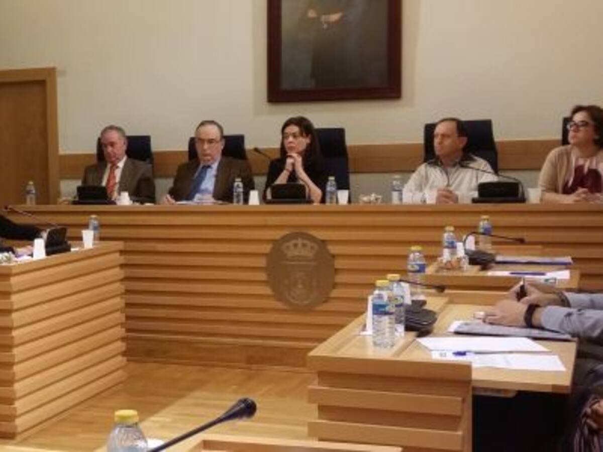 El voto en contra de PSOE y Ganemos a la renuncia de Rosa Romero a su acta de concejal no tiene validez