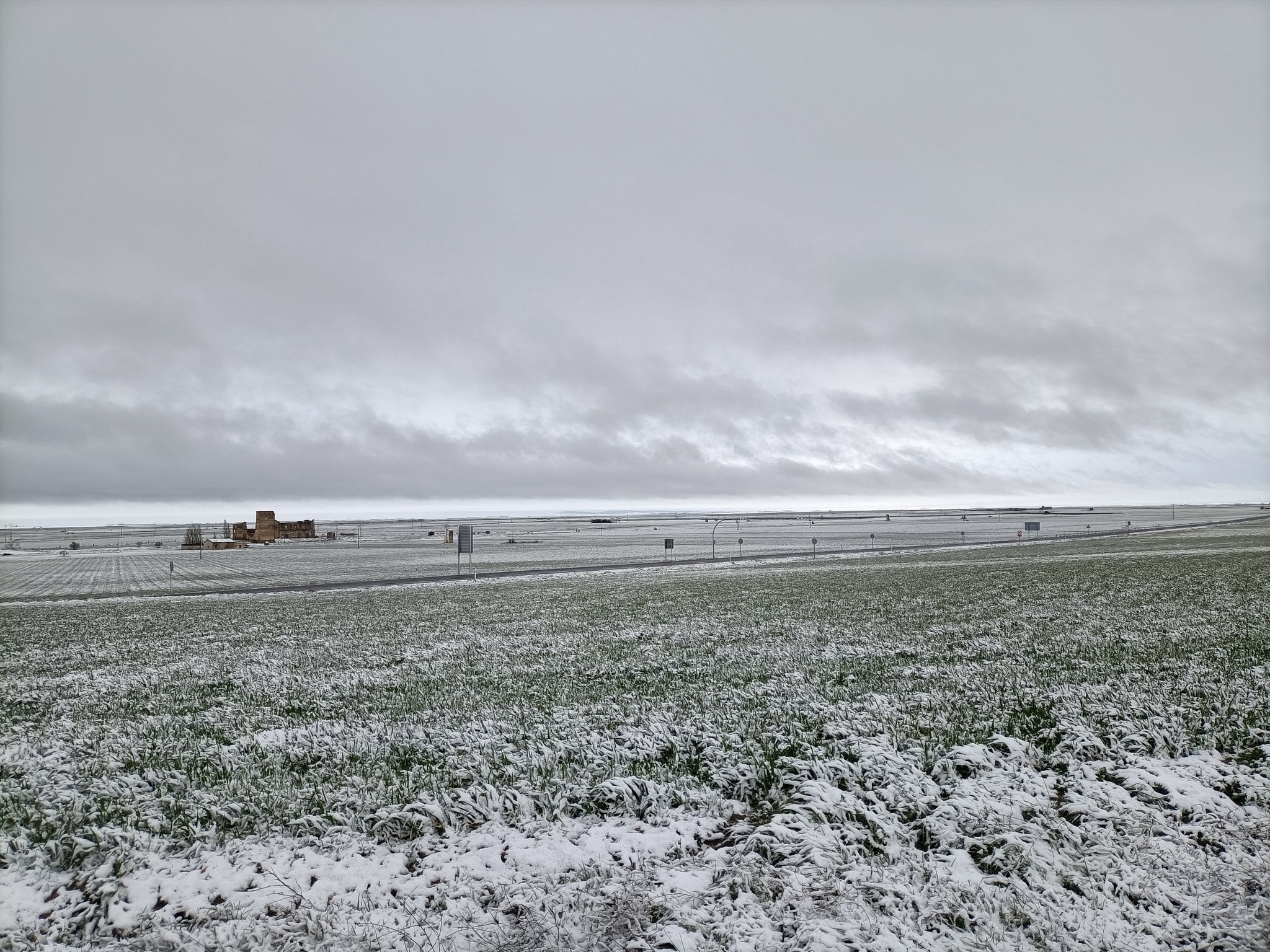 Estampa del fin de semana en Madrigal de las Altas Torres @Radio_Medina