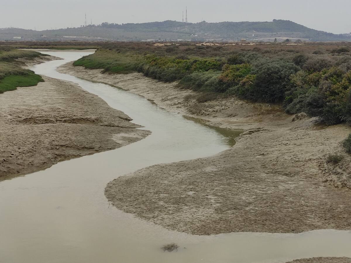 "El Rincón de la Tapa" es el elegido para nuestro paseíto